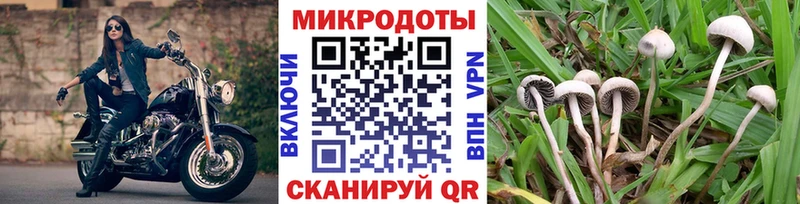 блэк спрут зеркало  Ахтырский  Галлюциногенные грибы GOLDEN TEACHER 